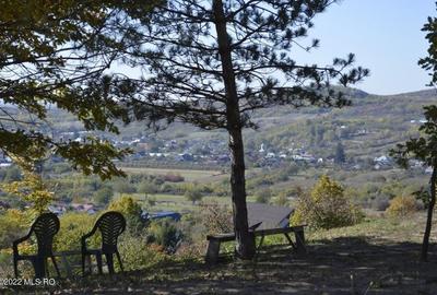 Topoloveni - Conacul Ion Mihalache, Domeniu pe 5 Hectare - 17