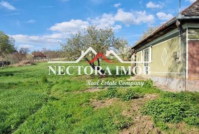 Casă cu 2 camere cu Teren 951 Mp în Paleu - 4