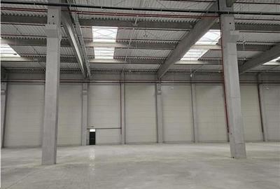 Spatii Industriale - 5000 mp - Logistica - Productie - Depozitare - 13