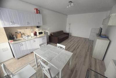 Apartament cu 2 camere decomandat în Vest - 4