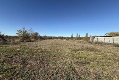 Teren de 2800 mp, în Colibași - 1