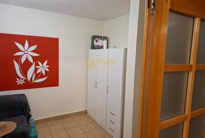 Apartament 2 camere in Tatarasi - Ciurchi - 11