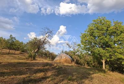 Teren spectaculos cu padure, livada si priveliste panoramica in Soimari PH - 2