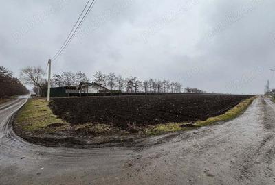 Teren de 15000 mp, în Saucenița - 1