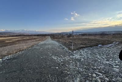 Spațiu comercial, în Mohu - 7