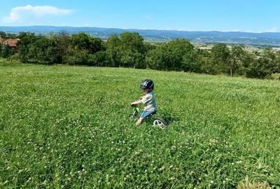 Teren agricol intravilan de 9093 mp, în Josani (Măgești)
