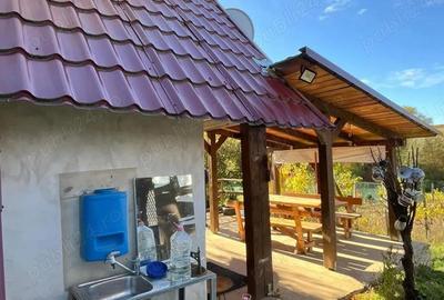 Casă cu 2 camere cu Teren 1100 Mp în Biharia - 12