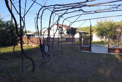 Teren si casa batraneasca in Dumbravesti, Prahova - 6