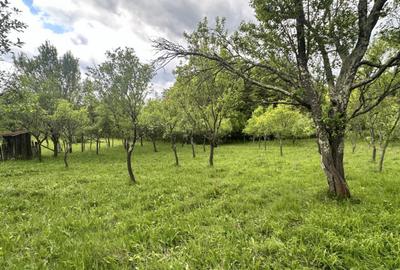 Teren intravilan 3102mp zona Racovita-Blanoiu - 3