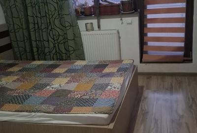 Apartament cu 2 camere decomandat, mobilat în Sălaj - 8