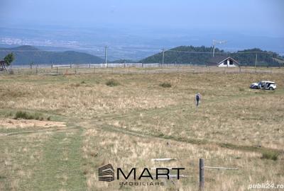 Teren Construcții intravilan de 1500 mp, în Păltiniș - 5