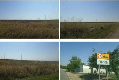 Teren extravilan Varlezi, cota parte 1/4, ID: R2730271 - 3