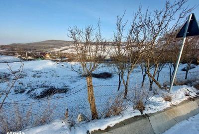 Teren de 750 mp, în Popricani - 3