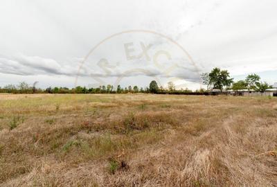 Teren intravilan 3000 mp, Oarja, Arges – amplasament excelent - 3