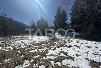 Teren extravilan 4600 mp cu acces la rau Satul de Vacanta Dejani - 3