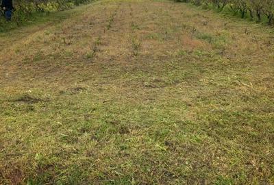 Spațiu comercial, în Stăncești - 1