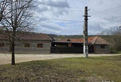 Vand casa la tara - 4