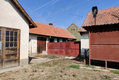 Casa gospodarie in Belint - 10