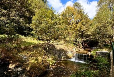 Vila de Vânzare în Cheia, Prahova - Relaxare și Confort într-un Cadru Natural de - 57