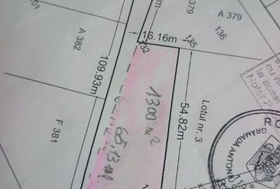 Spațiu comercial, în Cărpiniș - 2