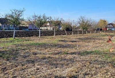 Vând teren intravilan suprafață 1414mp în Sânpetru Mare, jud.Timiș . - 6