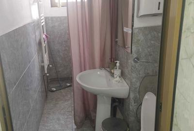 Spațiu comercial, de 80 mp, în Aradului - 7