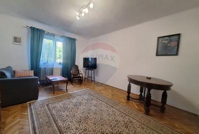 Doua case de vanzare in aceeasi curte, in zona Sub Arini - 14