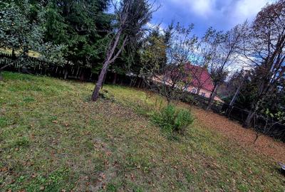 Casa de vacanta Timisu de Sus/Brasov/Oportunitate investitie - 20