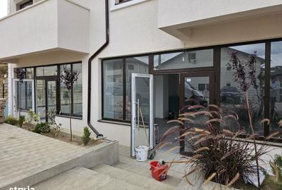 Spațiu comercial, de 100 mp, în Nicolina - 3