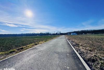 Teren de 1250 mp, în Snagov - 4
