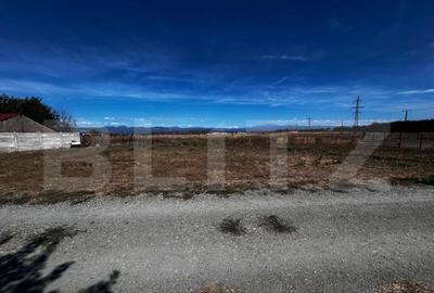 Teren Prelungirea Panduri - 1