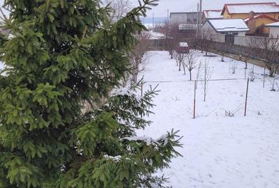 2 Case in oglinda - 7