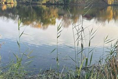 Spațiu comercial, în Balotești - 6