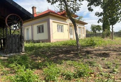 Casă cu 4 camere în Vedea