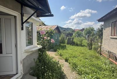 Casă individuală cu 3 camere cu Canalizare în Ocina de Jos - 14