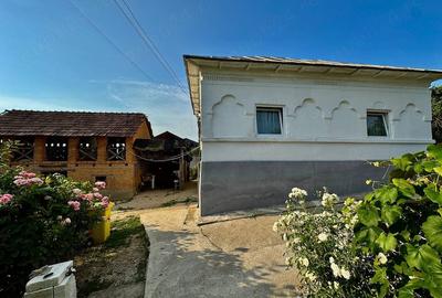 Casă cu Teren 666 Mp în Calotești - 9