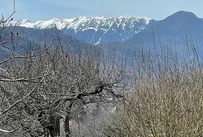Teren de 1000 mp, în Bran