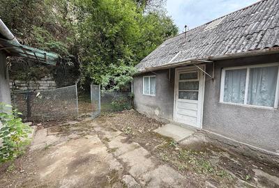 Teren de 8000 mp, în Dealu Mare - 5
