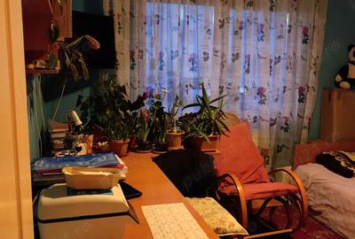 Apartament cu 3 camere decomandat în Criș - 5