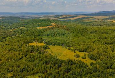 COMISION 0% Teren Grid/Inima Naturii/ Oportunitate de inv... - 15