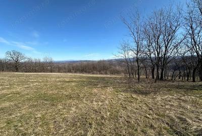 Teren de 9220 mp, în Periferie