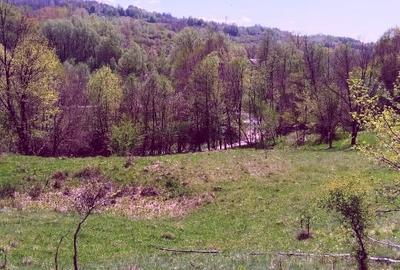 Teren Construcții intravilan de 7.7950000762939 mp, în Golești - 6