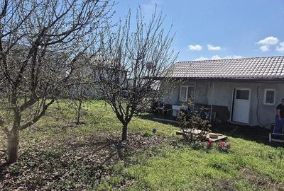 Teren de 380 mp, în Berceni - 3