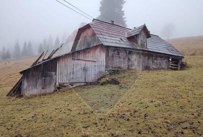 Teren de 26232 mp, în Dorna-Arini - 4