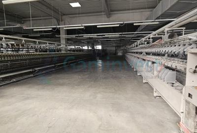 Spațiu industrial, de 6,227 mp, în Homorog - 17