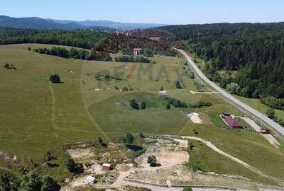 Teren 5,561mp Paltinoasa / Strada principala - 8