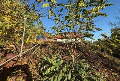 Teren intravilan 1543 mp - zona Darmanesti Teren intravilan 1543 mp - zona Darmanesti - 9