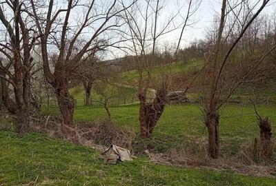 Casă cu 4 camere în Poieni (Densuș) - 5