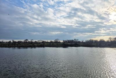 Oportunitate Unica! Teren de 35 Ha la 10E/mp cu Lacuri Medicinale si Acces Delta - 11