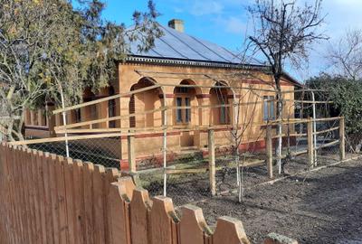 Casă cu 4 camere cu Teren 4870 Mp în Viziru - 5